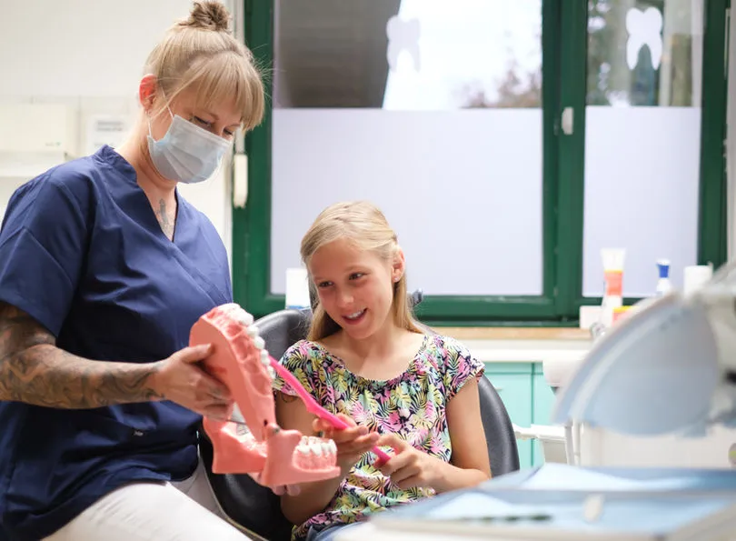 Prophylaxe-Beratung: Zahnputztechnik am Kiefermodell mit einem Kind